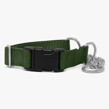 Chain webbing martingale collar Chain webbing martingale collar